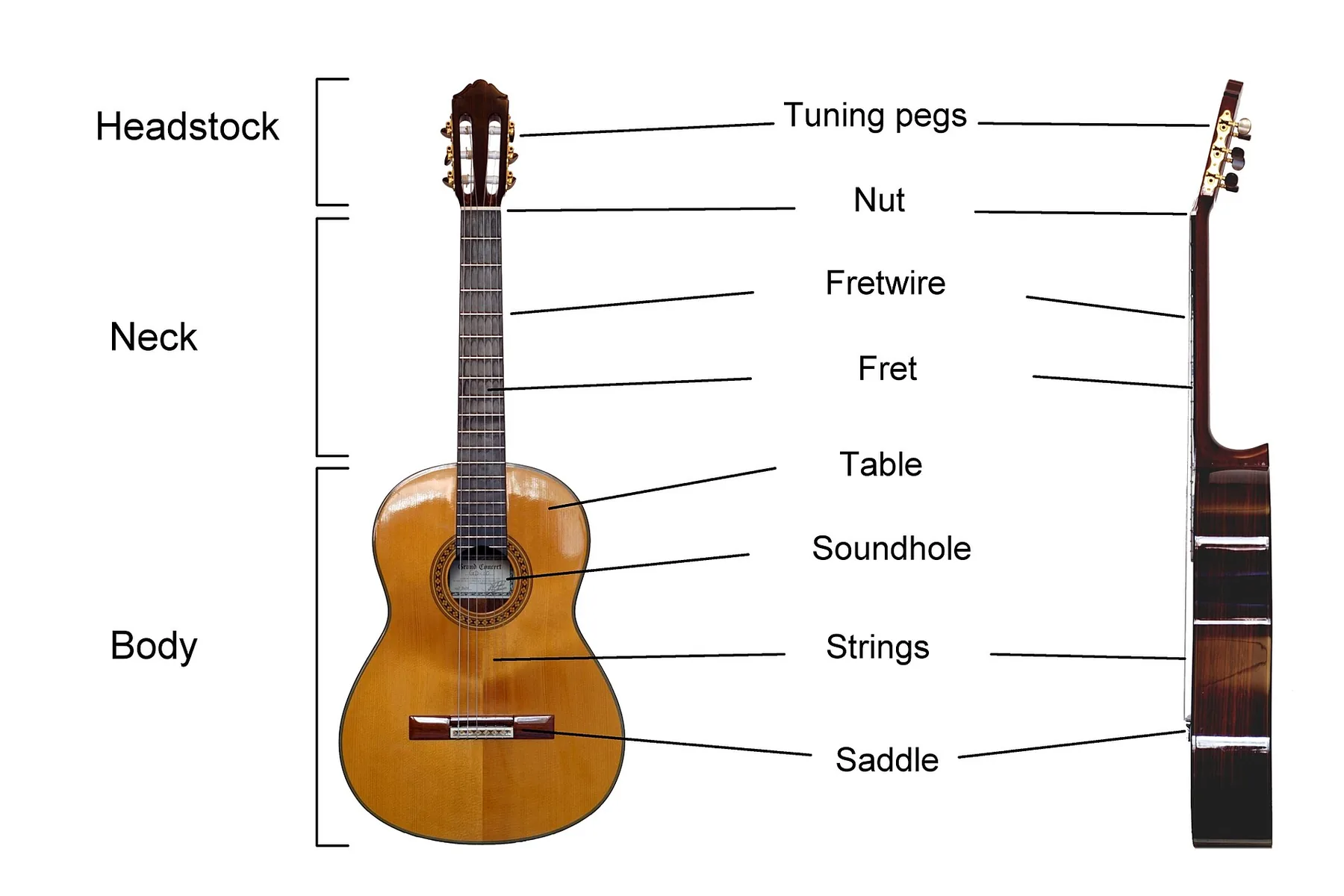 diagram of acoustic guitar parts diagram of acoustic guitar parts