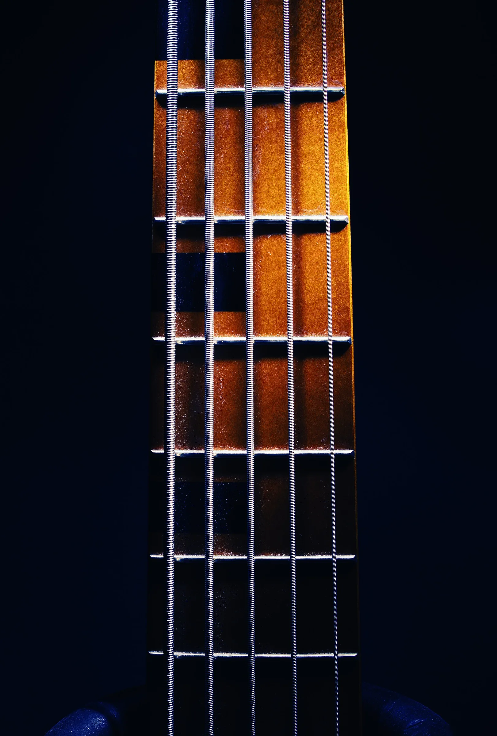 folk guitar strings on the neck folk guitar strings on the neck
