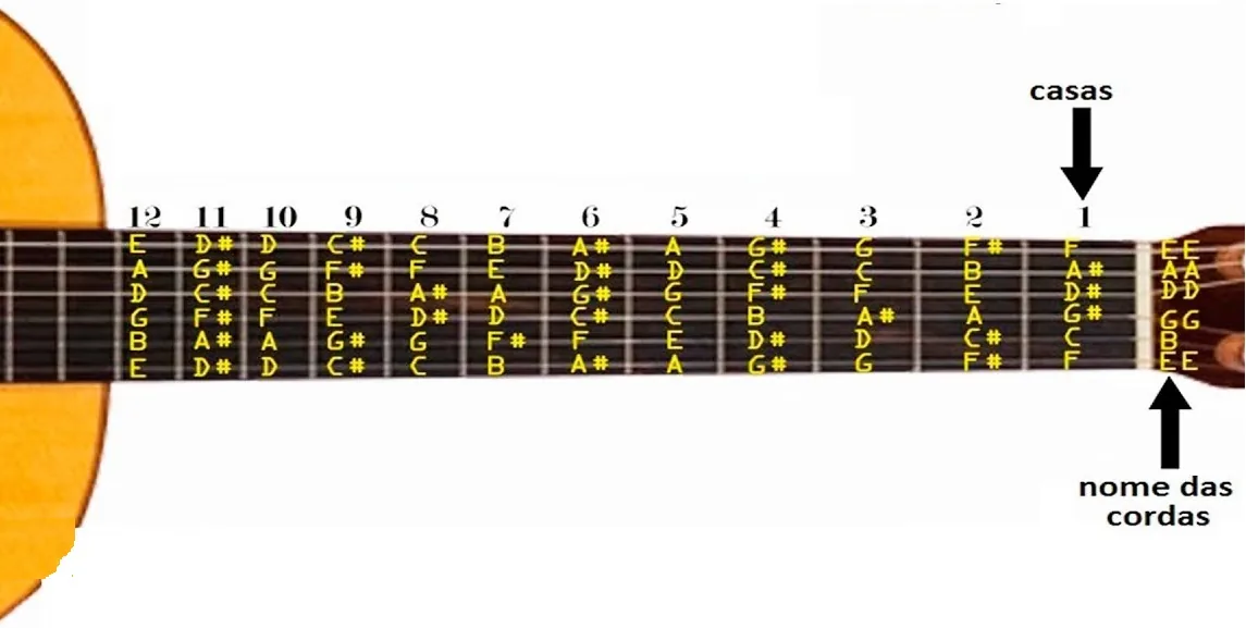 Guitar neck and string notes