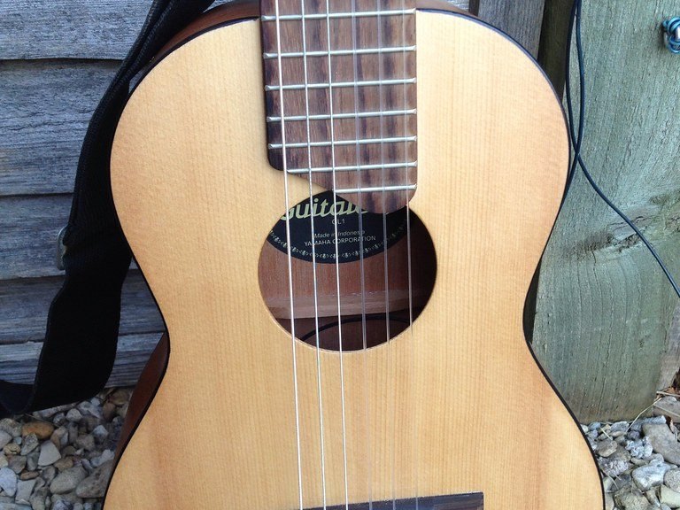 Peut-on mettre des cordes nylon sur une guitare folk ?